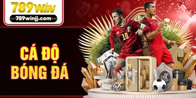 ca-do-bong-da